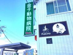 金子動物病院