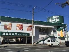Ｓｅｒｉａ　沼津店