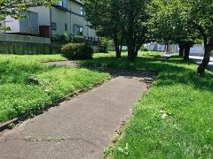 中里緑地