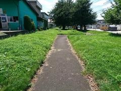 中里緑地