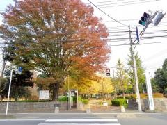 平塚公園