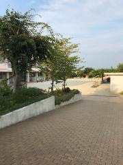 花園幼稚園