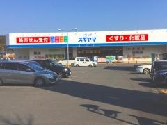 ドラッグスギヤマ笹川店