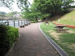桜丘中央公園