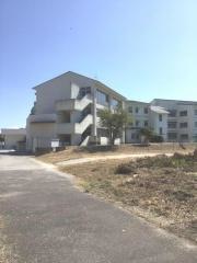 長洲小学校