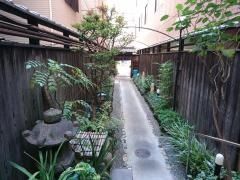吉寅