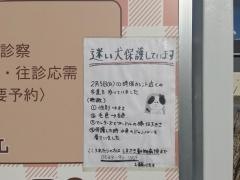 しまざき動物病院