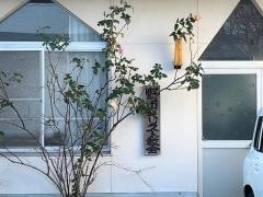野市キリストの教会