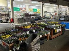 オリンピック　相模大塚店
