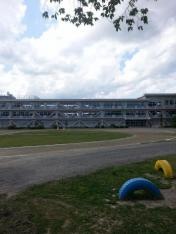 芳野小学校