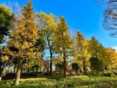 館近隣公園