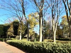 館近隣公園