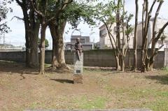 菊田水鳥公園