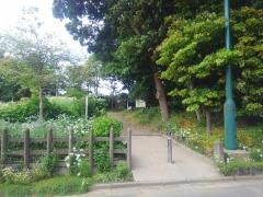 上郷八号緑地