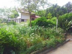 上郷八号緑地