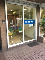 星動物病院