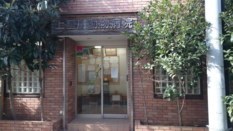 エントランス周り