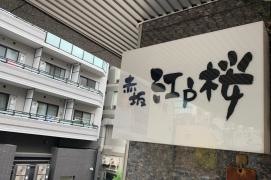 赤坂江戸桜