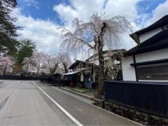 まるかわ