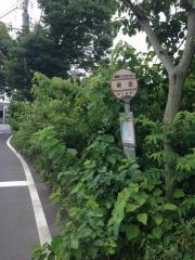 「新田(川越市)」バス停留所