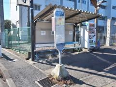 「常真寺前」バス停留所