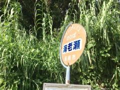 「海老瀬」バス停留所