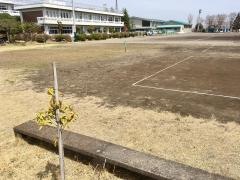 宇都宮市立上河内中学校