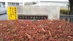 西横野小学校