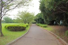 花見川緑地