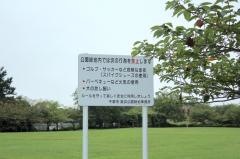 花見川緑地