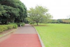 花見川緑地