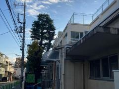 五本木小学校