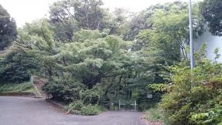 横浜市児童遊園地