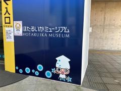 ほたるいかミュージアム