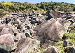 万倉の大岩郷