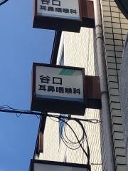 谷口耳鼻咽喉科医院
