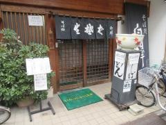白樺