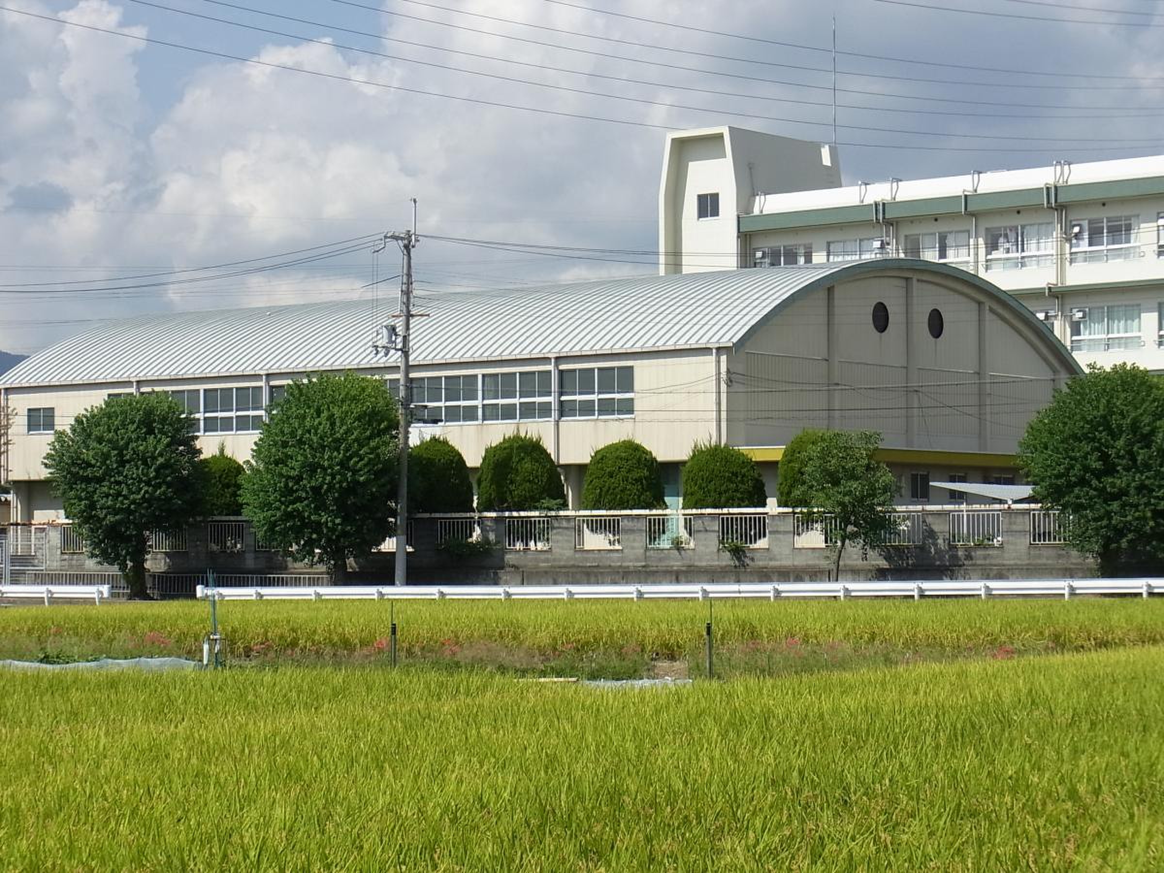 公の場での発言・インタビュー報道記録