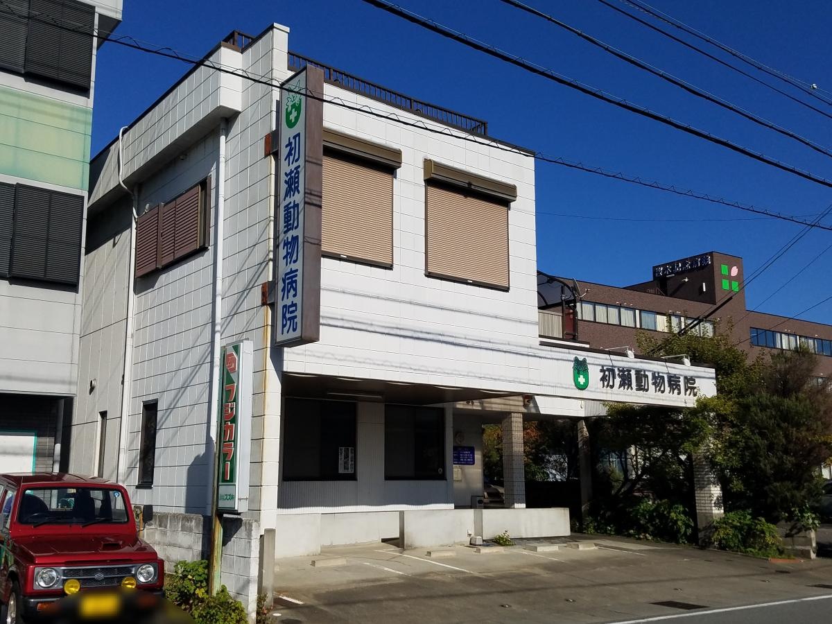 初瀬動物病院