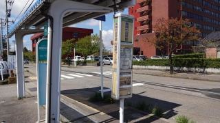 「市役所前」バス停留所