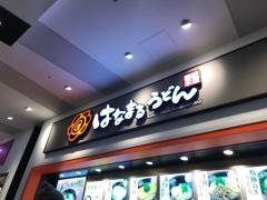 はなまるうどん　ダイバーシティ東京店