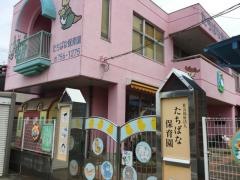 たちばな保育園