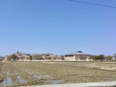 若葉小学校