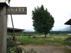 ソラノネ食堂