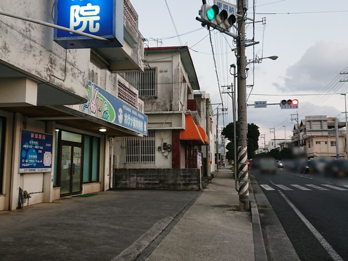 ホサナ動物病院