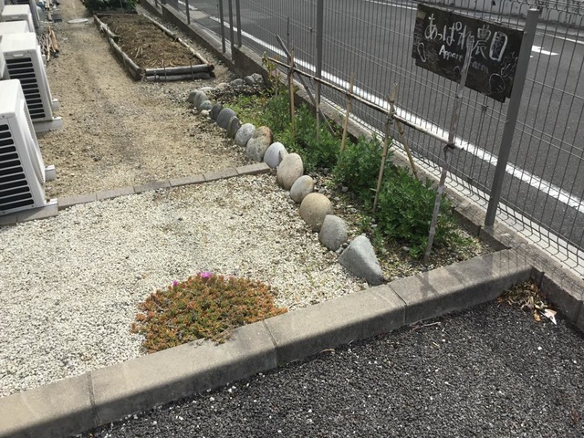 あっぱれ常滑 雰囲気