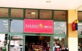ザ・ダイソー　グルメシティ小束山店