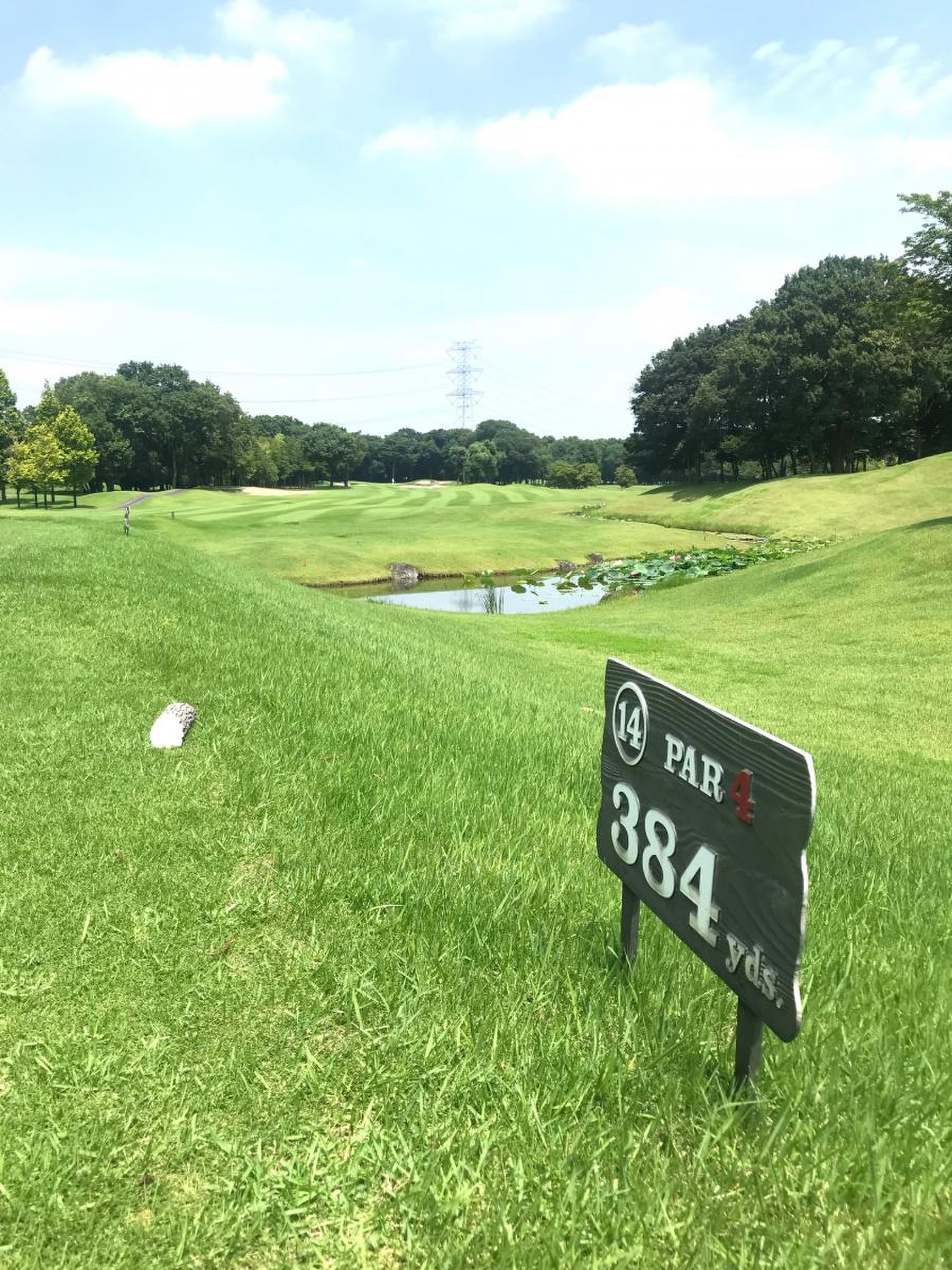 猿島 カントリー 倶楽部