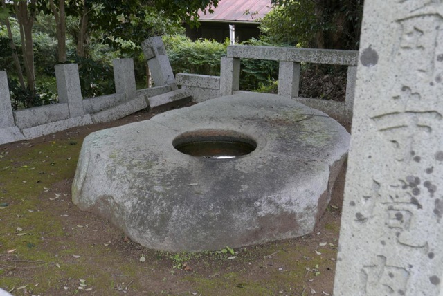 投稿写真1