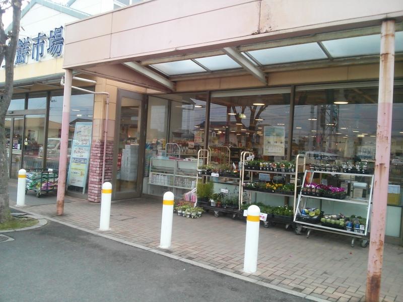外観です。